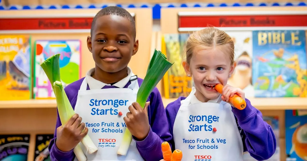 Tesco's Slow Cooker Campaign Inspires Healthy Eating Habits in Children