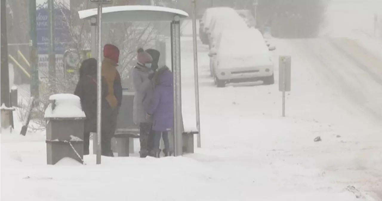 Extreme cold warnings blanket much of Alberta with wind chill near -50