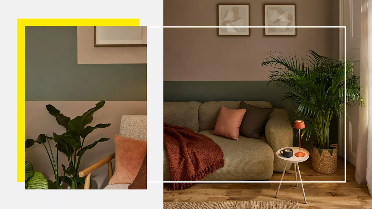 Transform Your Home with Colour