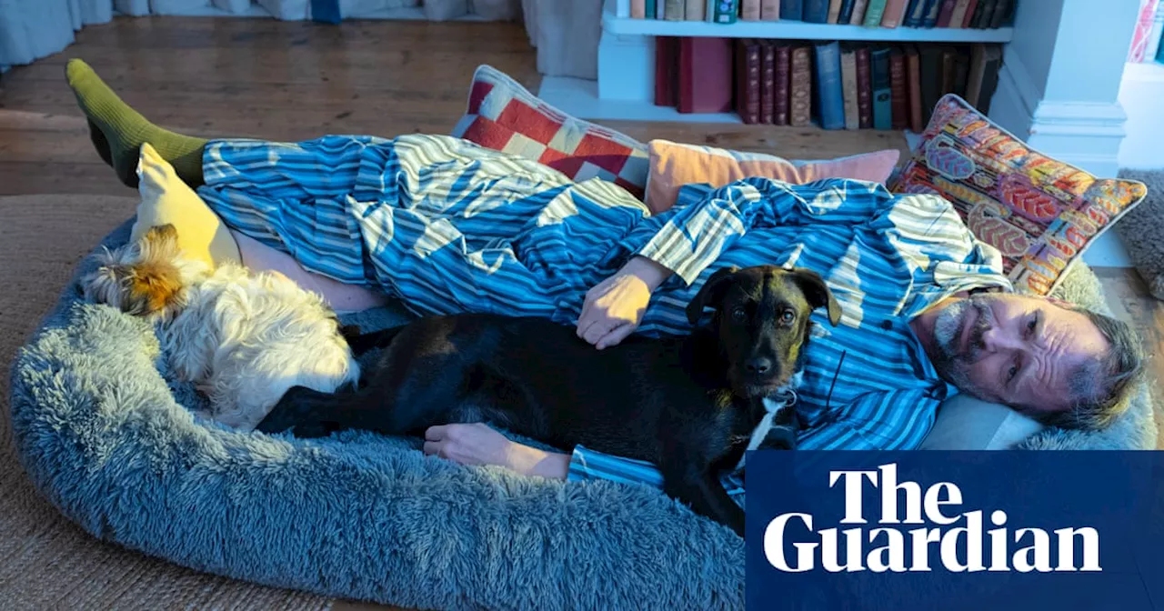 Snuggle Pod: The Human-Sized Dog Bed That's Not Quite What It Seems