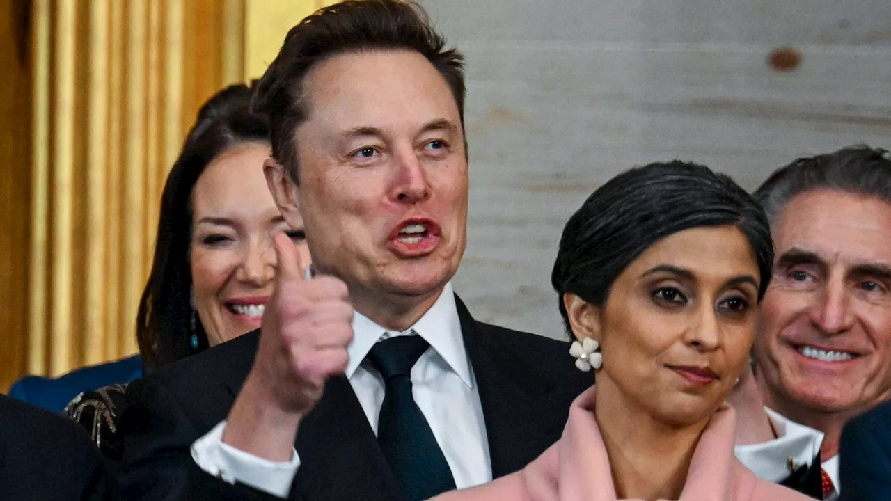  Milliardär Elon Musk hat jetzt einen offiziellen Status