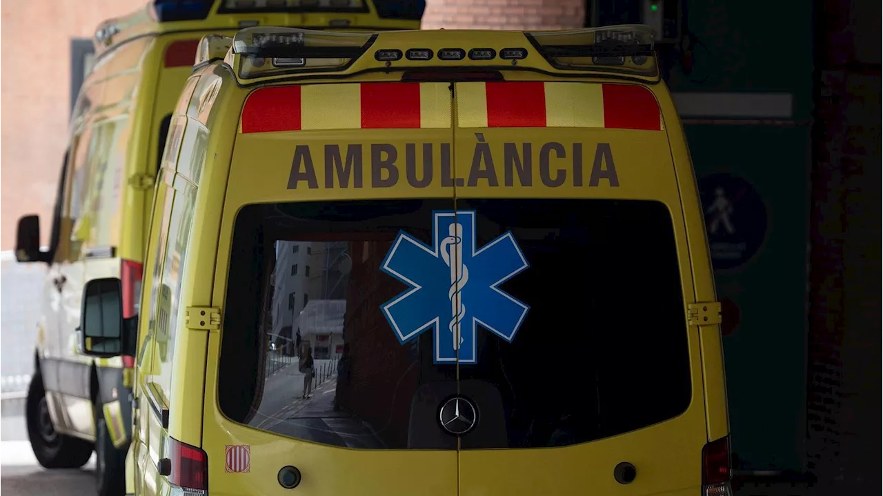 Muere al caerle encima un árbol que estaba cortando en Sant Antoni de Vilamajor