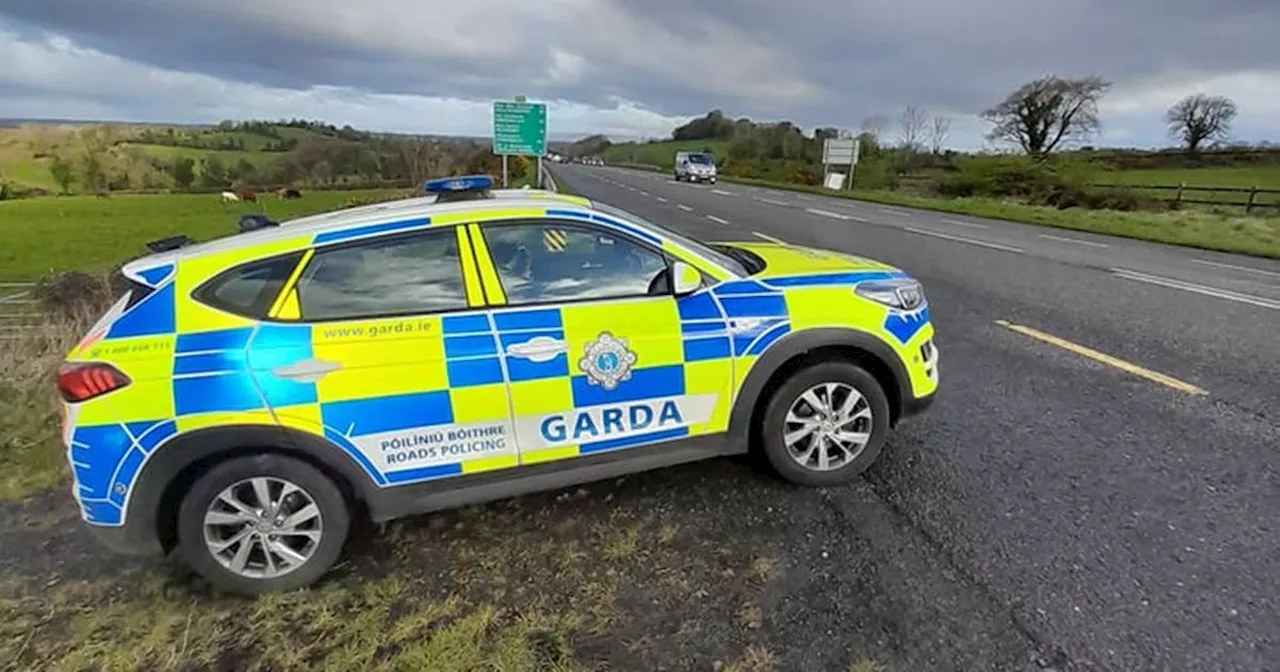 Drivers face hefty fines as gardai crack down on new Irish speed limits