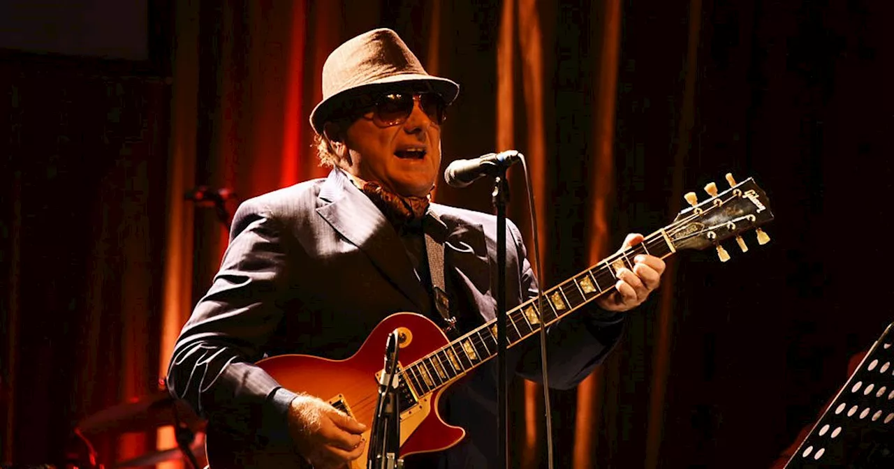 Van Morrison's Music Firm Sees Cash Pile Surge to Over €20 Million