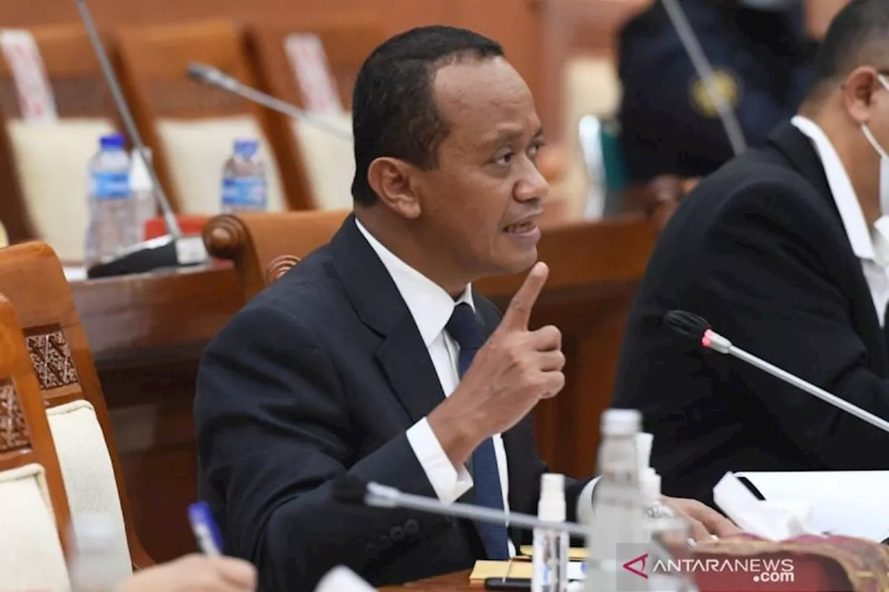 Menteri ESDM Kejutkan Vonis Bebas Warga China Kasus Penambangan Ilegal