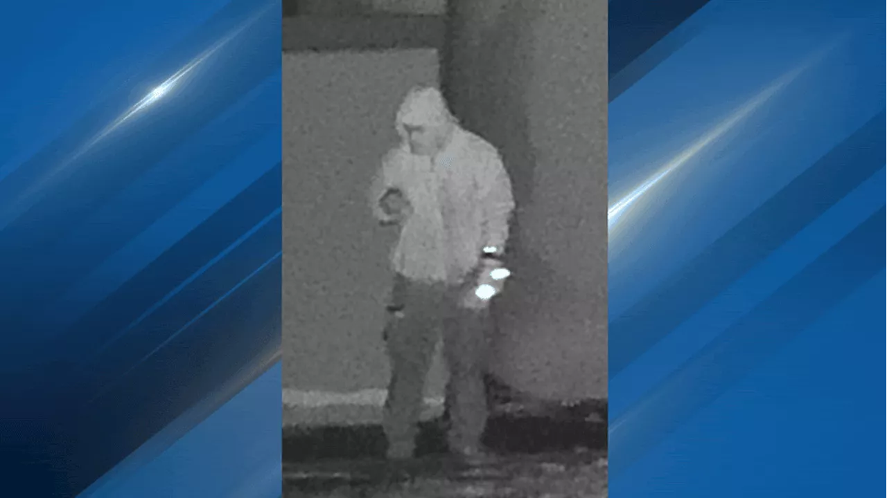 Issaquah Police Seek Public's Help Identifying Suspect in Antisemitic Graffiti Cases