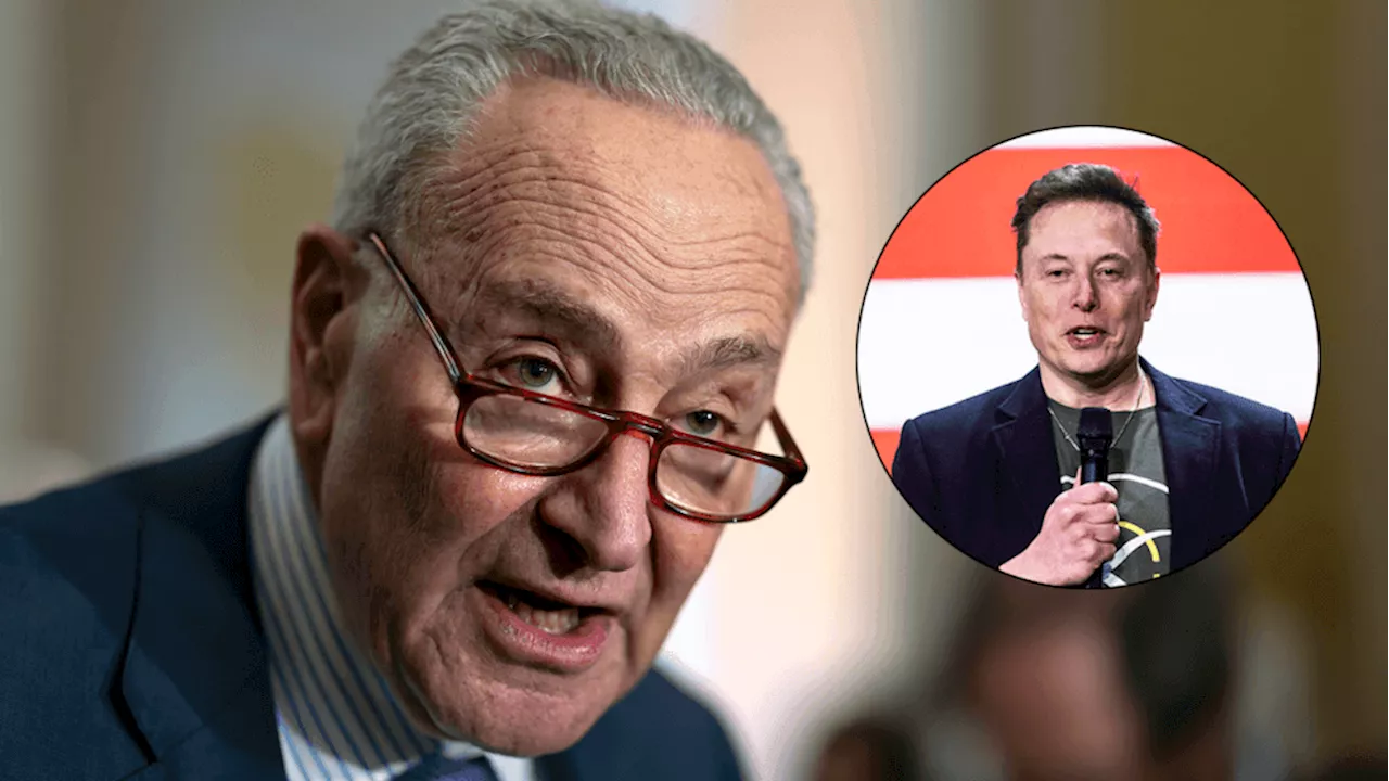 Schumer Accuses Musk's DOGE of Overreaching, Musk Slams 'Bureaucracy' 