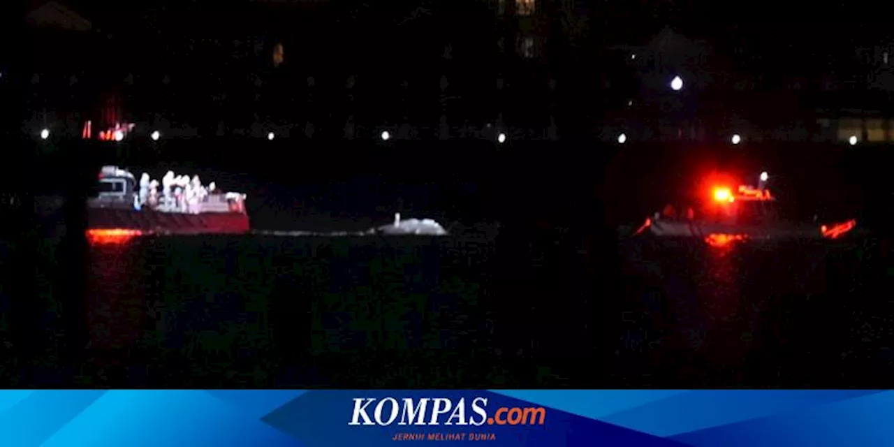 Tabrakan Pesawat dan Helikopter di AS: 28 dari 67 Korban adalah Komunitas Seluncur Indah, Termasuk Juara Dunia