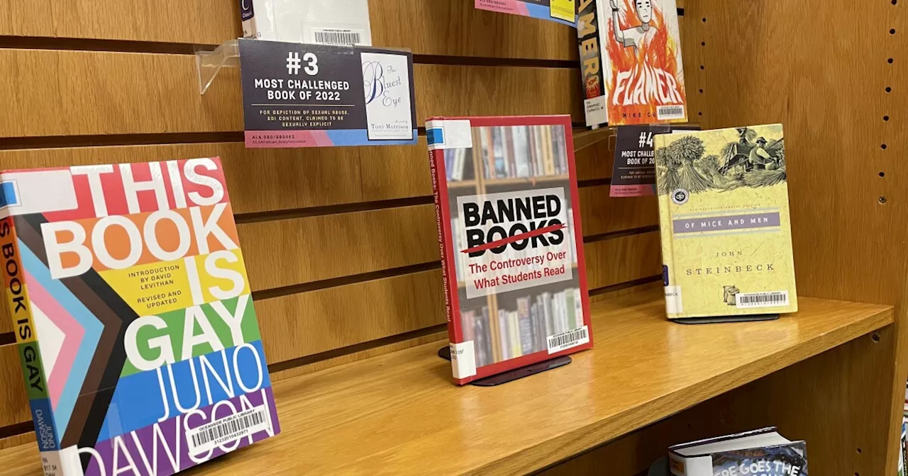 Book Bans in Schools: A Growing Threat