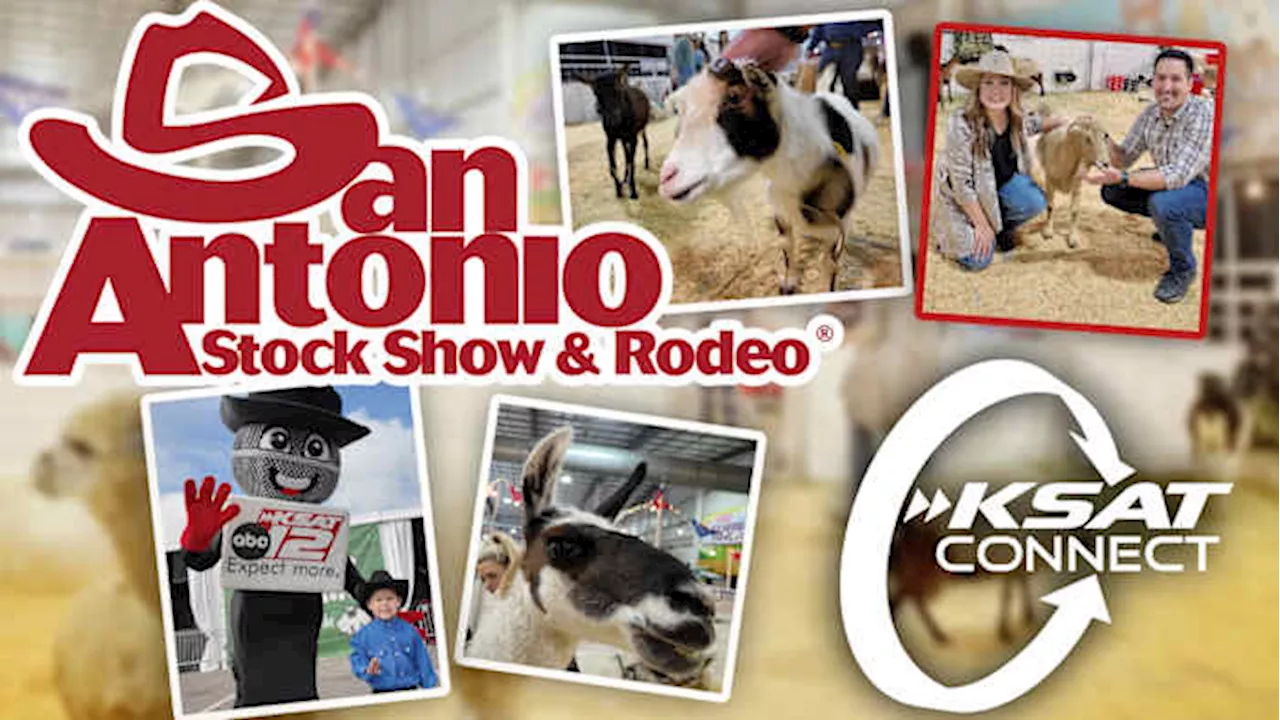 Share your 2025 San Antonio Stock Show & Rodeo photos, videos on KSAT Connect