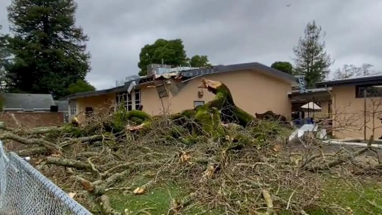 Bay Area Braces for Second Atmospheric River, Flood and Wind Advisories Issued