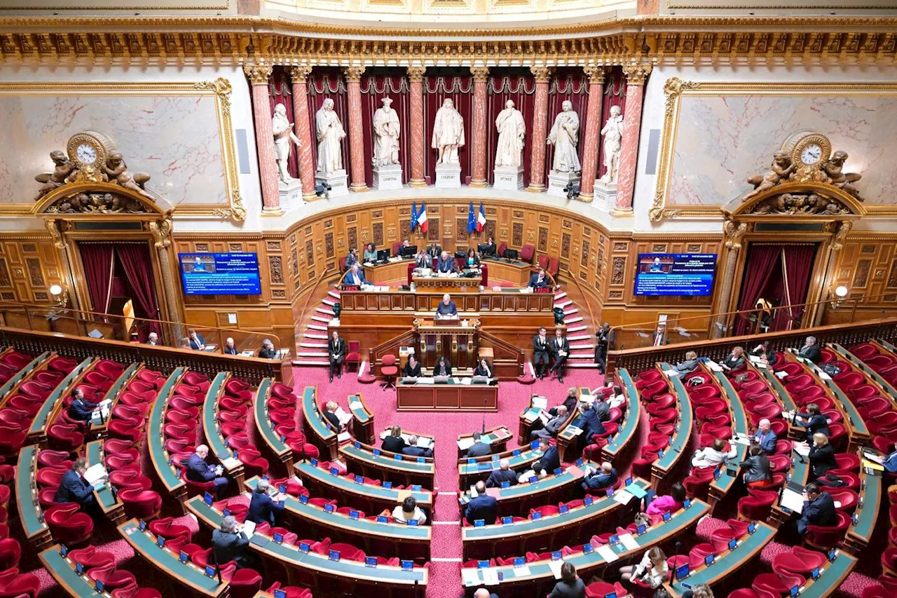 Agriculture: la loi d'orientation arrive enfin au Sénat, juste avant le Salon