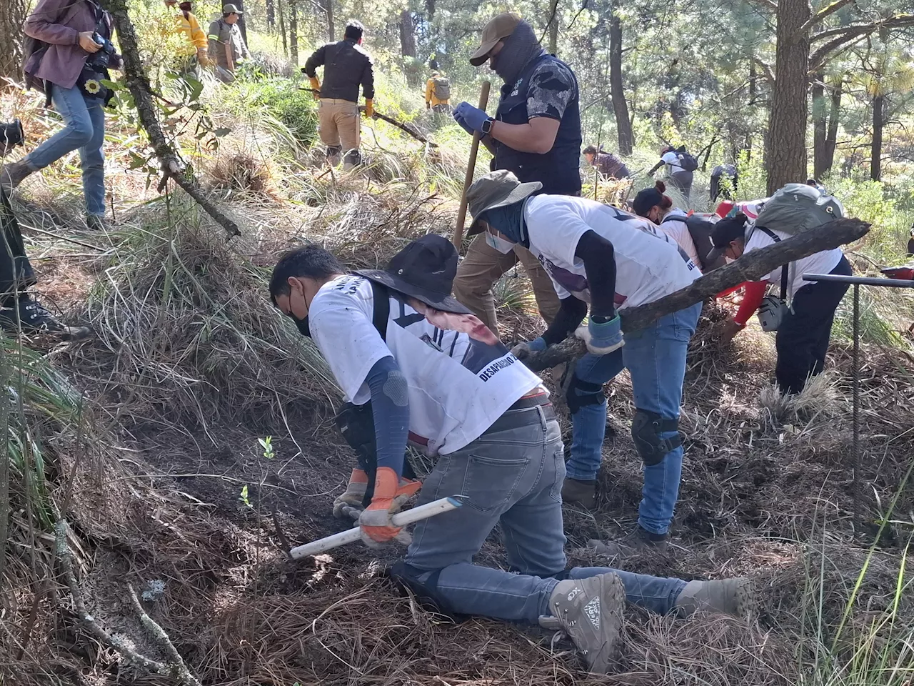 Reforzará GCDMX presencia policial, cámaras e iluminación en el Ajusco