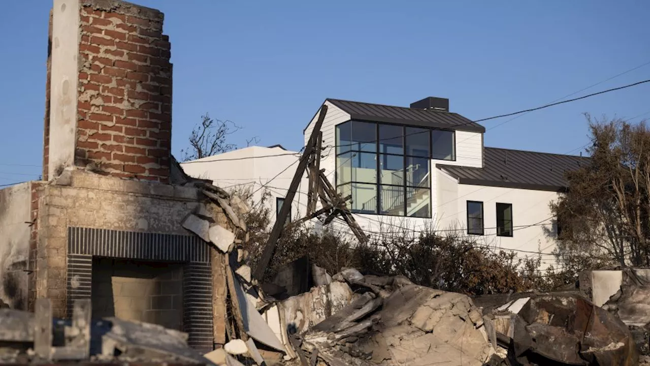 Home with Metal Roof Survives Palisades Fire