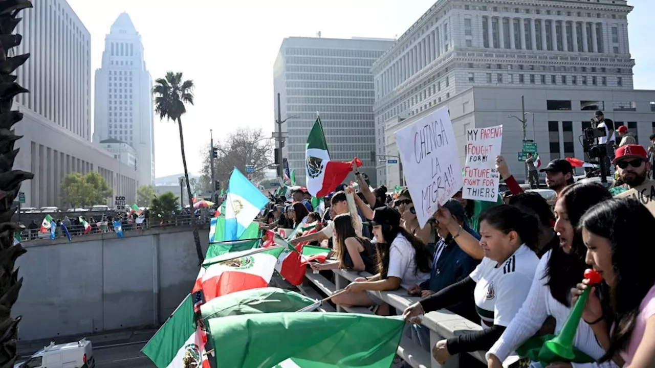 Immigration Protests Reignite in Downtown Los Angeles