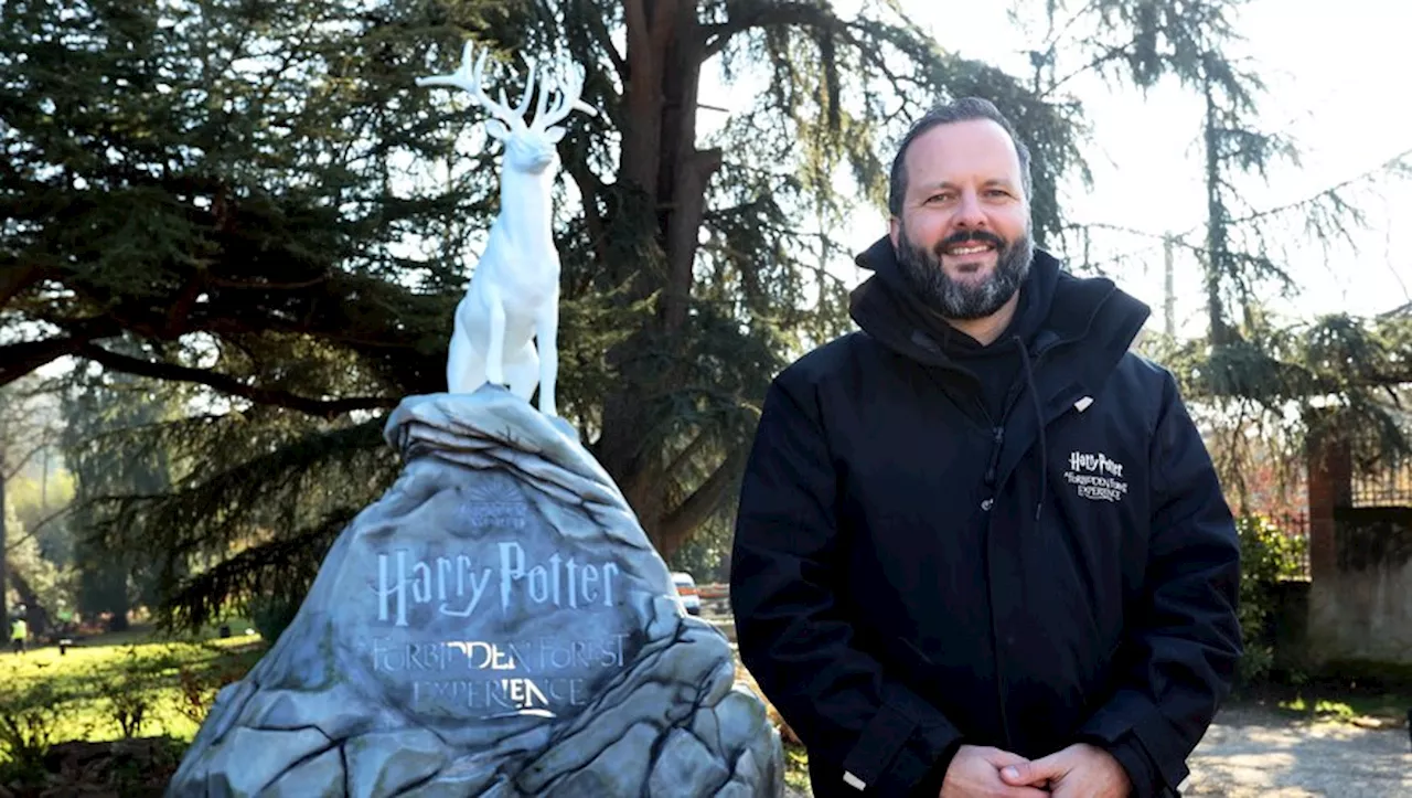 Démontage du show Harry Potter à Montauban : une course contre-la-montre lancée au jardin des Plantes