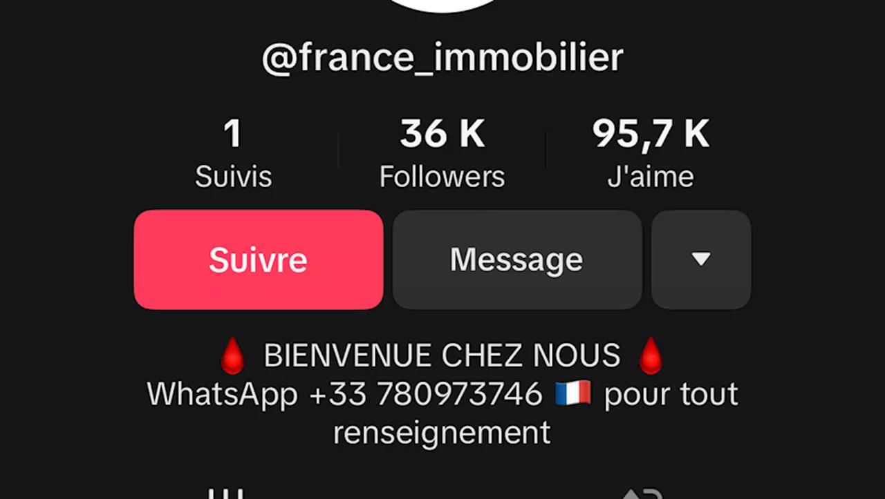 Immo de France victime d'une arnaque sur TikTok