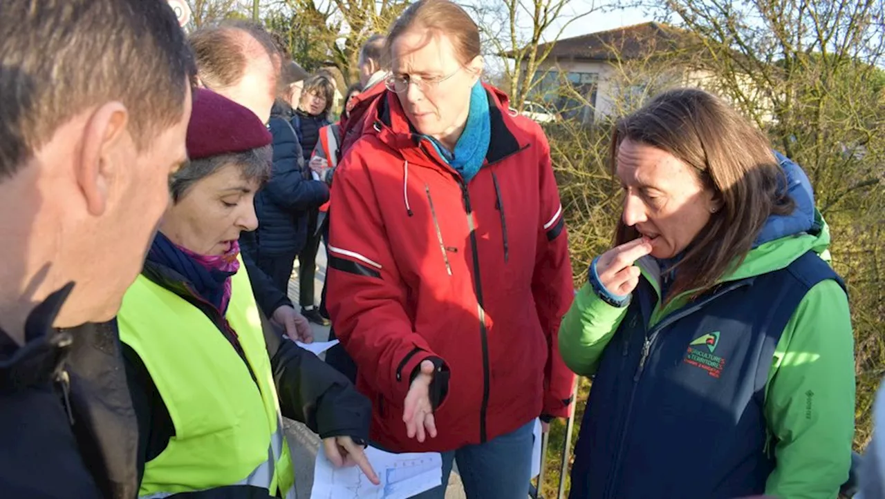 Le Projet européen SpongeWorks : Améliorer la gestion des sols grâce aux méthodes nature