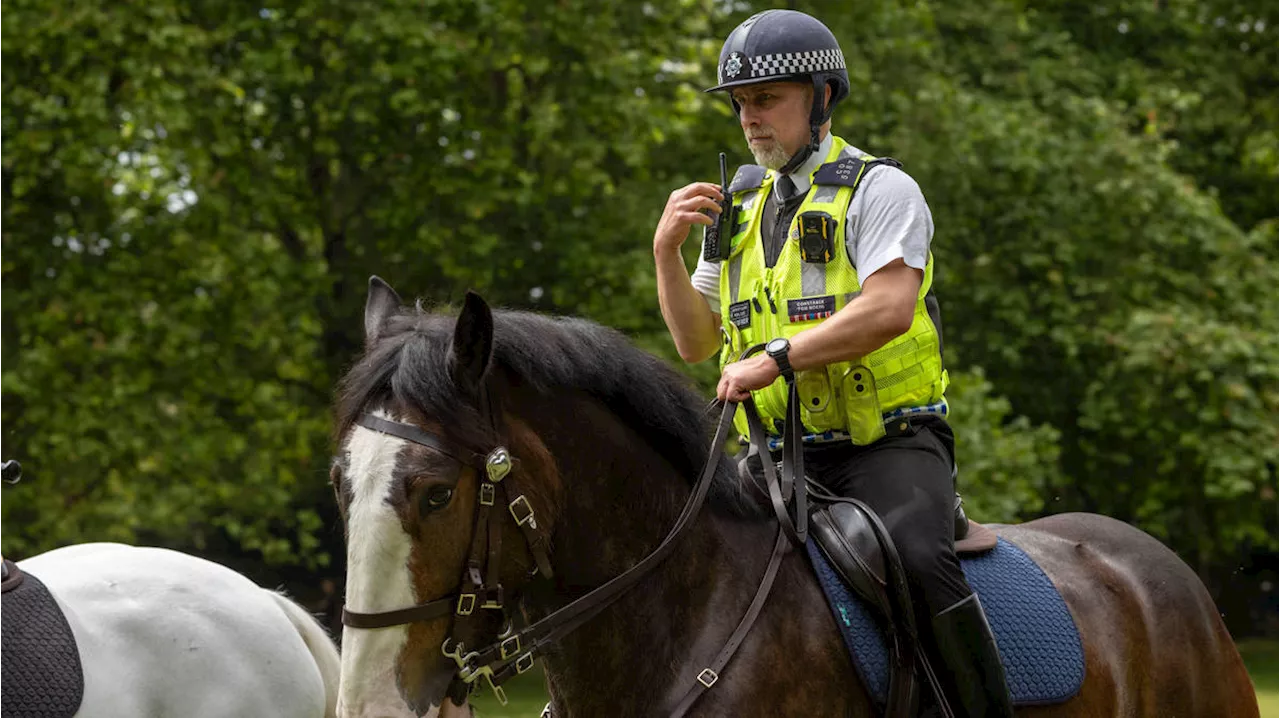 Met Police May Close Royal Parks Unit Amidst Budgetary Concerns