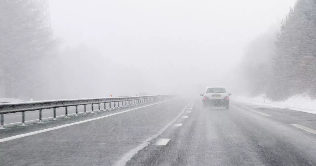 Retour des brumes et des brouillards givrants mardi 4 février