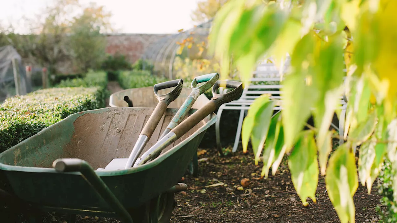 8 Outils de Jardinage Indispensables