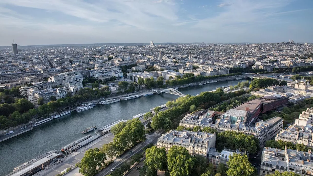 Qualité de l'eau en Seine : 20 espèces de moules détectées