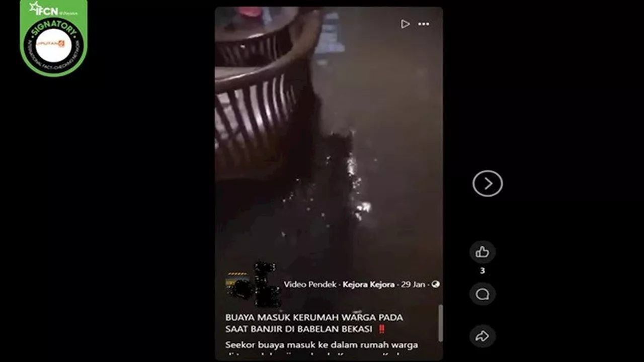 Cek Fakta: Tidak Benar dalam Video ini Buaya Masuk Rumah Warga Saat Banjir di Babelan Bekasi