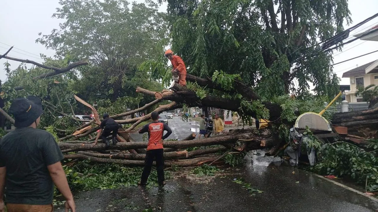 Hujan Deras dan Angin Kencang Terjang Bandar Lampung, Puluhan Pohon Tumbang dan Atap Rumah Roboh