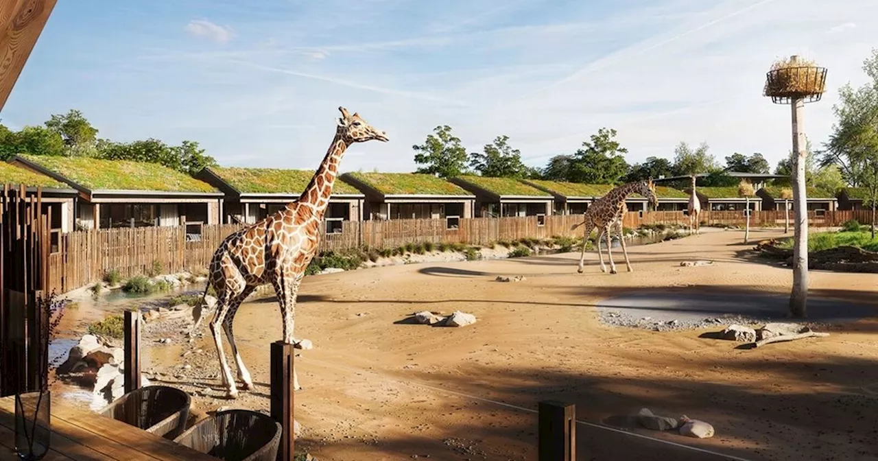 Chester Zoo Safari Lodges Sell Out for 2025 Despite Complaints of High Prices