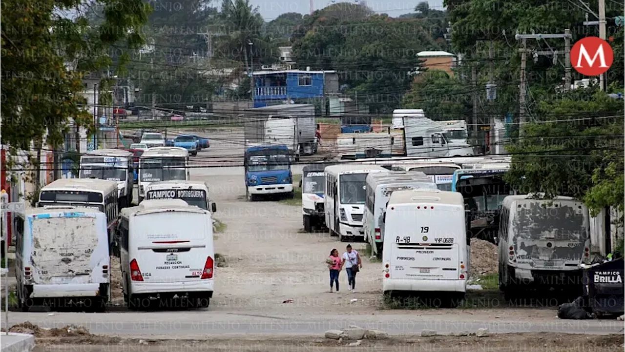 Cementerios de autobuses: Colonias de Tampico se llenan de unidades chatarra