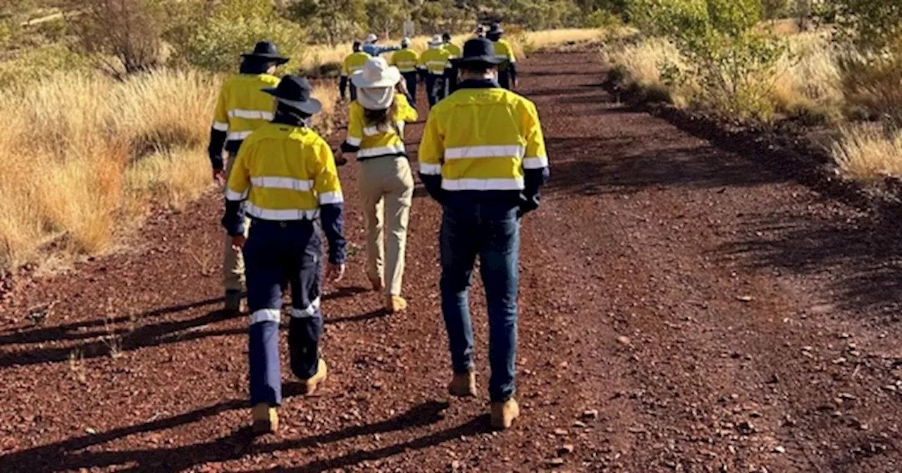 Fortescue Secures Control of Red Hawk Mining