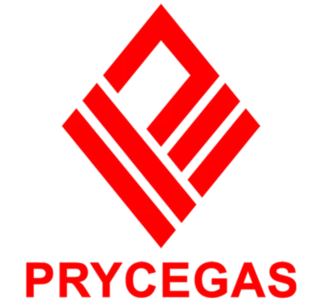 Pryce Corp. Reports 30.4% Surge in Net Income in 2024