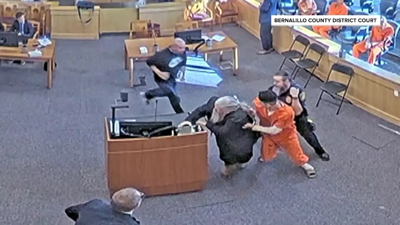 Video shows New Mexico murder suspect getting attacked by victim's family in court