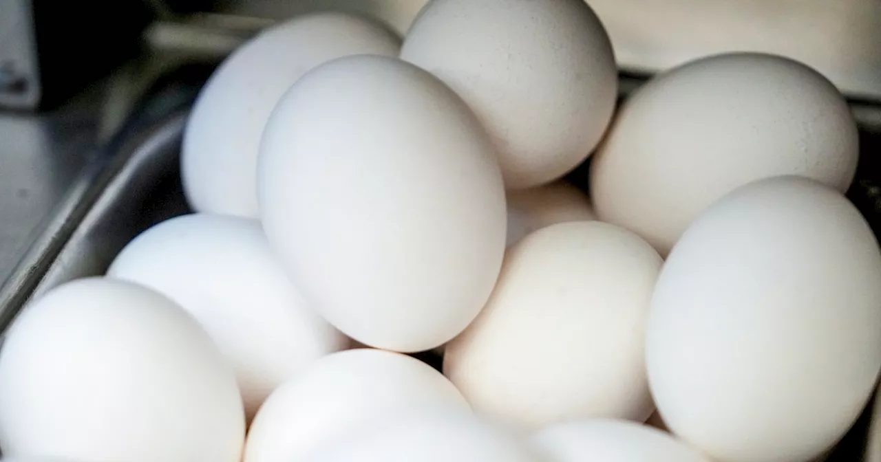 100,000 Eggs Stolen in Pennsylvania, Price Surge Hits Consumers