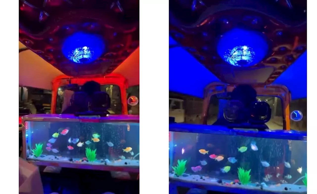 Pune Auto Driver's Vehicle Features Aquarium