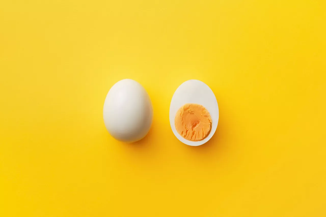 Eggs, cholesterol, and changing guidelines: What 48 years of data reveal