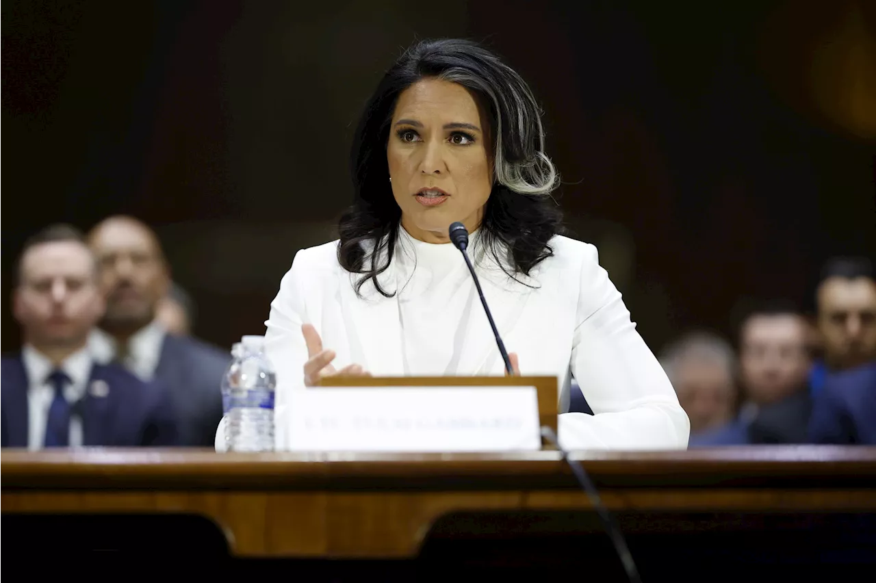 Gabbard's DNI Confirmation Hinges on Indiana Senator