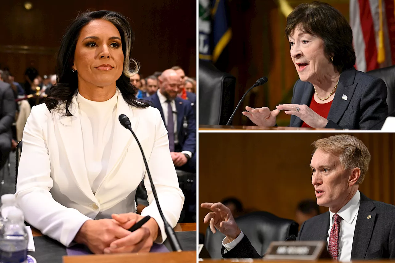 Collins Endorses Gabbard for DNI, Citing Vision for Smaller Agency