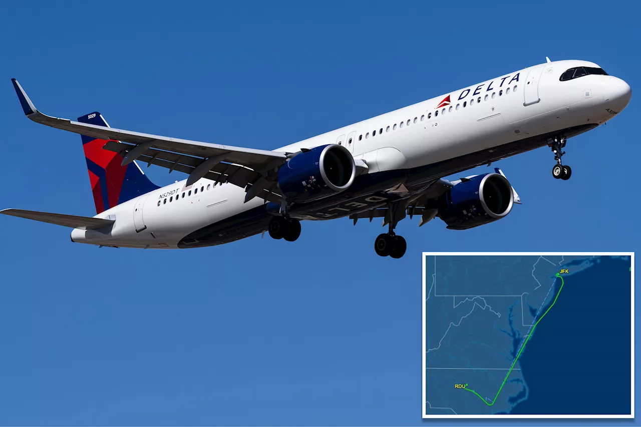 Delta Flight Diverted to Raleigh After Odor Detected in Cabin