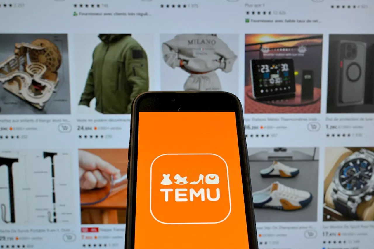 Temu and Shein: The Price of Cheap Chinese Goods