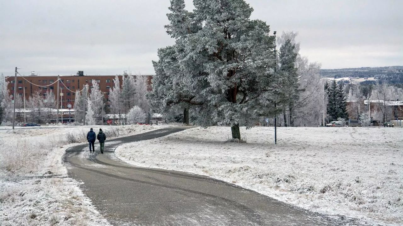 Nya Remonthagen-projektet stoppas - en odemokratiskt och kontraproduktiv beslut