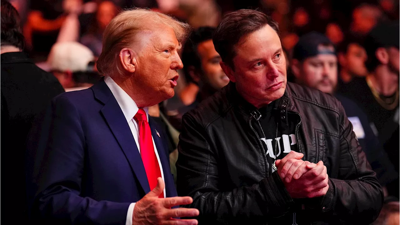 Trump and Musk Unleash Leak Hunt on Federal Government