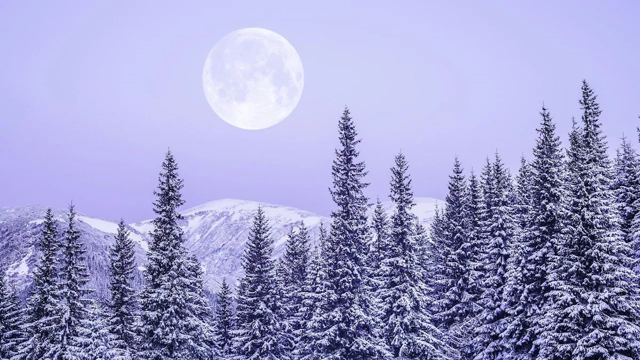 Februar-Vollmond im Sternzeichen Löwe: Für diese vier Sternzeichen wird der Schneemond turbulent