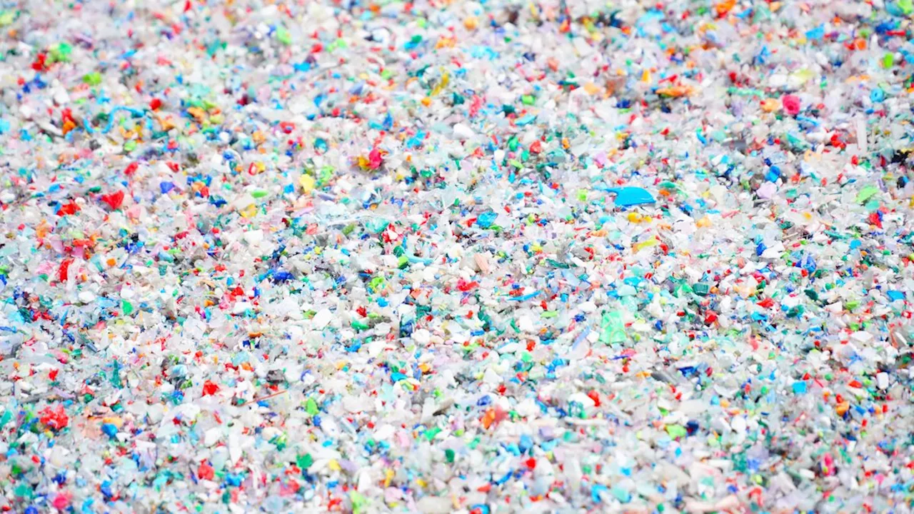 Mikroplastik in menschlichen Geweben: Zunahme in den letzten Jahren?