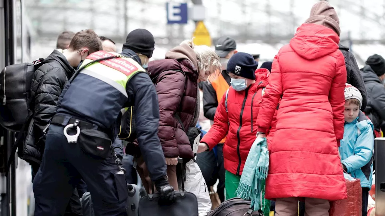 FDP will Migrationspakt der Mitte mit Union, SPD und Grünen