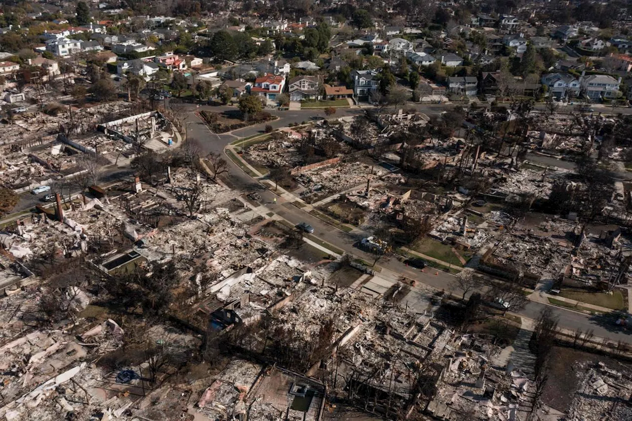 Incendies à Los Angeles : « un processus très difficile », le lourd défi de la reconstruction des 10 000 maisons détruites