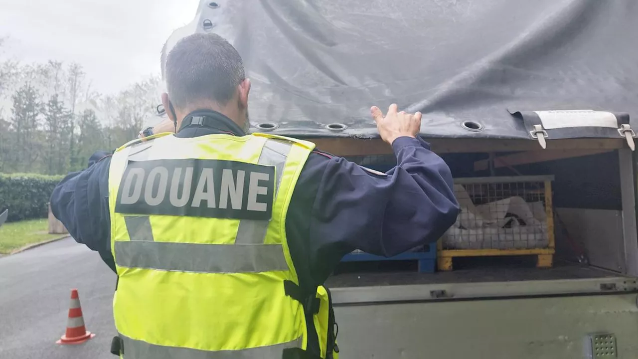 Pays basque : 246 kilos d’herbe de cannabis saisis dans un camion à la frontière avec l’Espagne