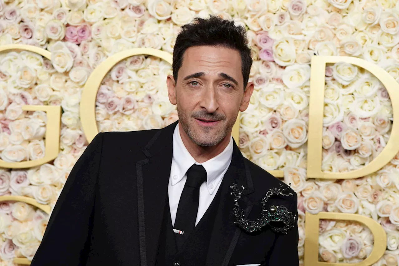 Prominente Nachrichten: Adrien Brody, Sandra Bullock und Daniel Hartwich in den Nachrichten