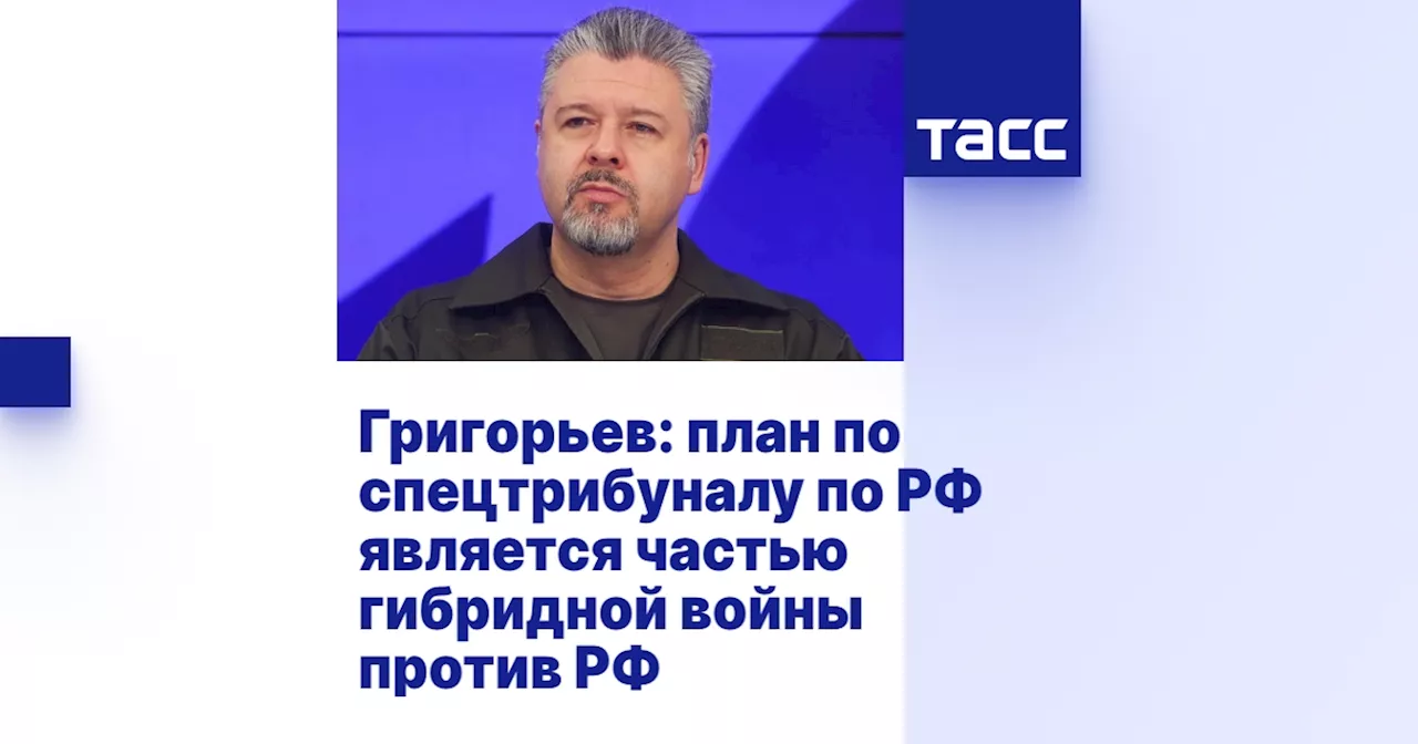 Член Общественной палаты РФ: Попытки создания спецтрибунала по «преступлениям России» - часть гибридной информационной войны Запада