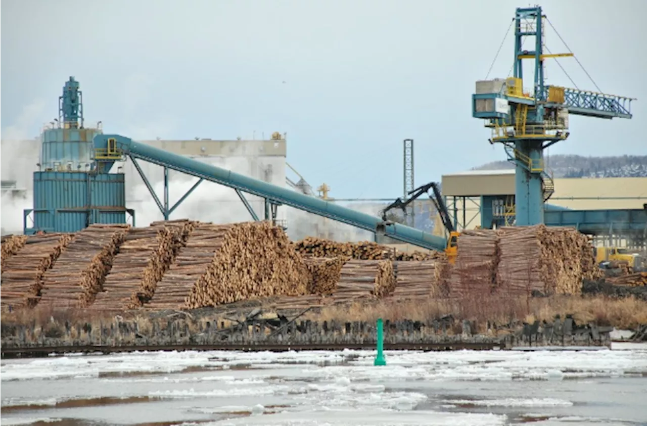 Tariffs Loom Over Canadian Forestry Industry Despite Trade War Delay